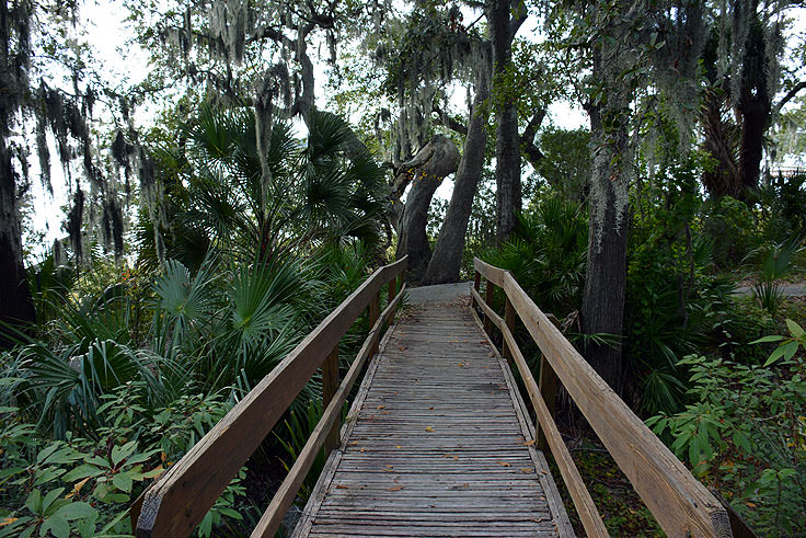 A walking path at Fort Mitchel in Hilton Head, SC