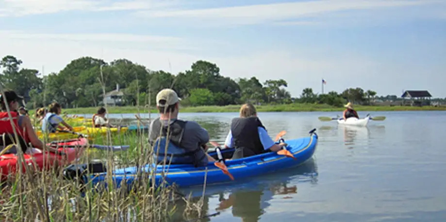 Guided Kayak Tour to Pine Island