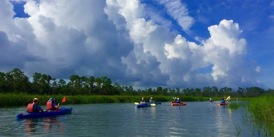 Salt Marsh Ecology Tour