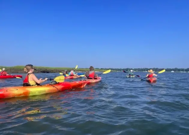 Beaufort Ecology Tour