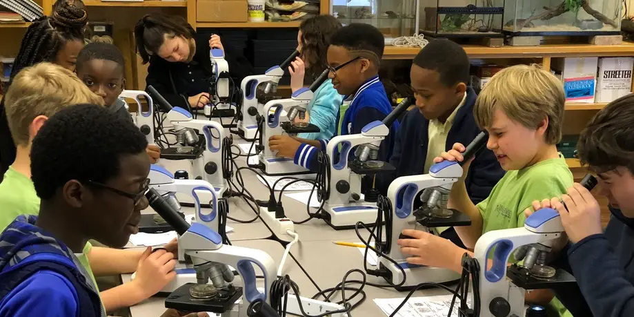 Marine Communities & Microscopes