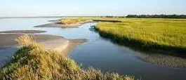 Barrier Island Tour