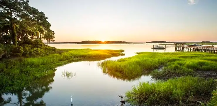 Low Country Passport