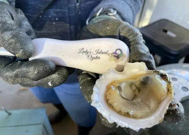 Oyster Hatchery Tour and Tasting