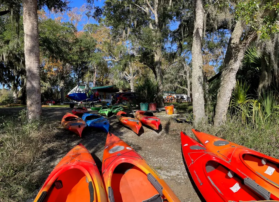 Oyster Hatchery Kayak Paddle, Tour and Tasting