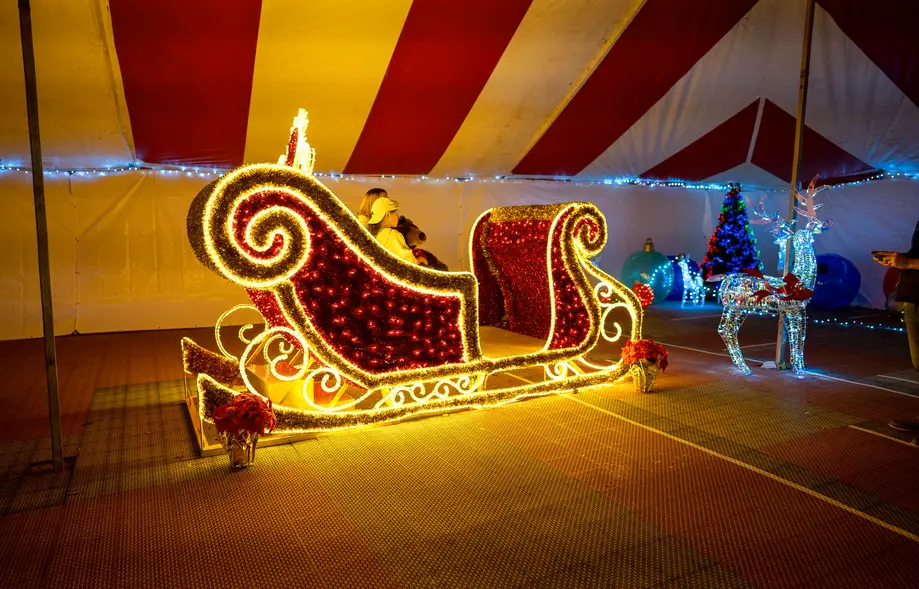 Daytime General Admission with Festival of Lights ticket, including Winter Wonderland Wagon Ride Festival kicks off 6pm MAKE SURE YOU ARRIVE AN HOUR PRIOR TO YOUR SELECTED RIDE TIME