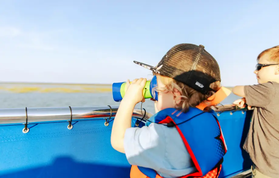 Big Fripper Dolphin Cruise