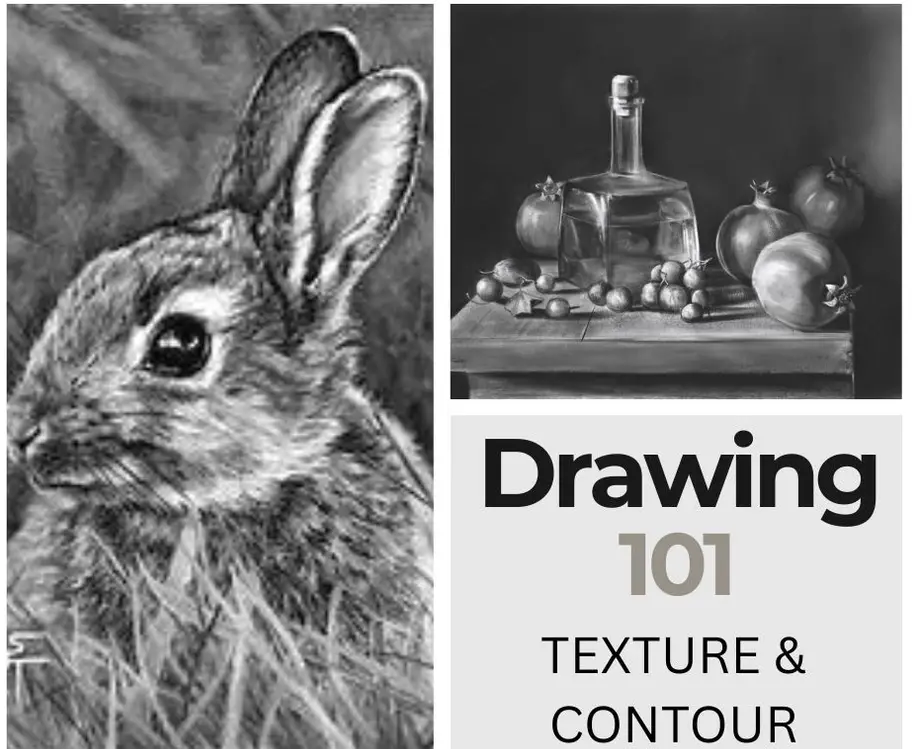 Drawing 101-Texture & Contour