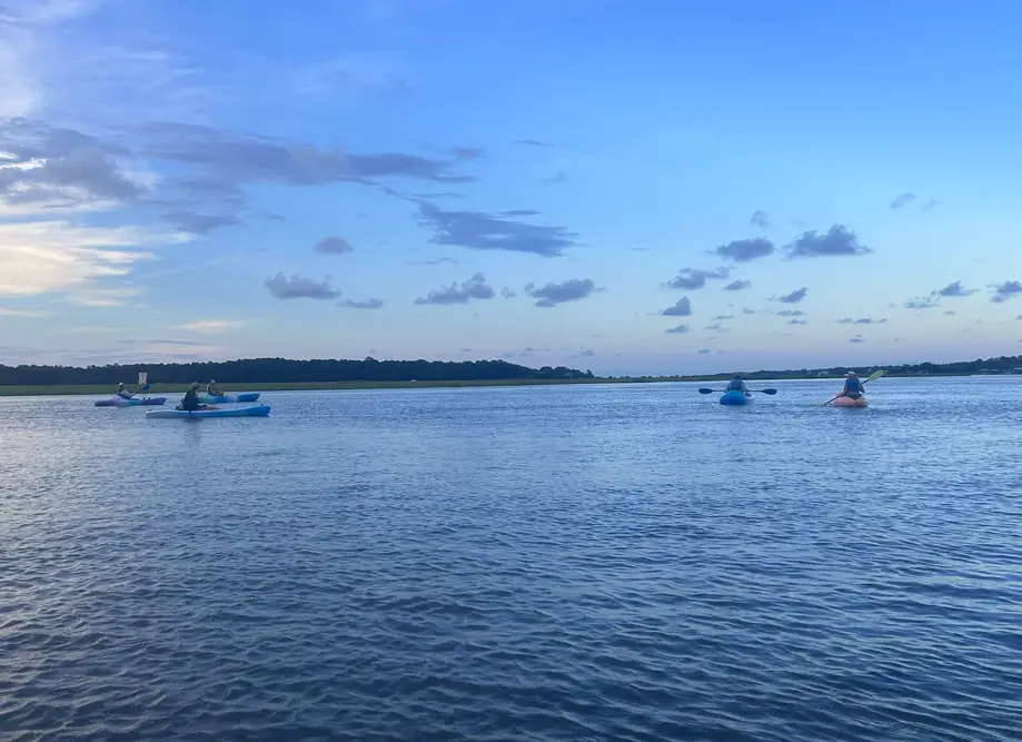 Guided Kayak Outgoing Tidal Tour