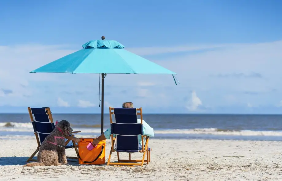 Club 15.5 - Beach Rentals