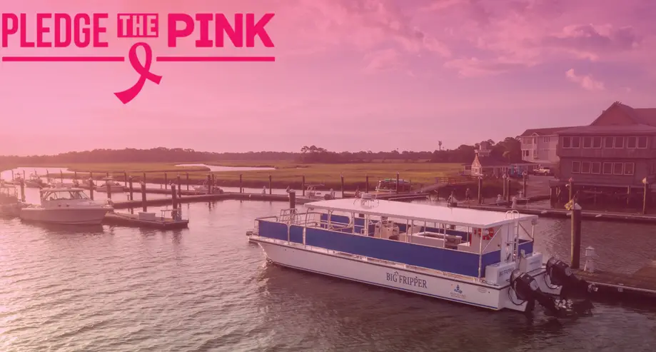 PTP: Special Dolphin Cruises