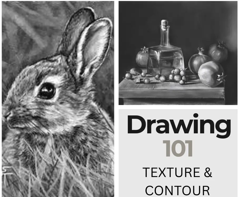 Drawing 101-Texture and Contour