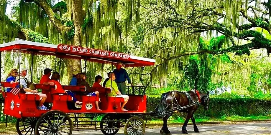 Historic Carriage Tour